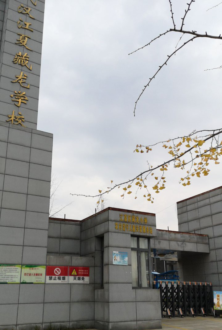 武汉市江夏区藏龙小学