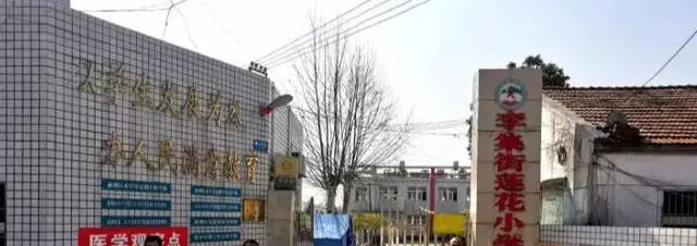 武汉市新洲区李集街莲花小学