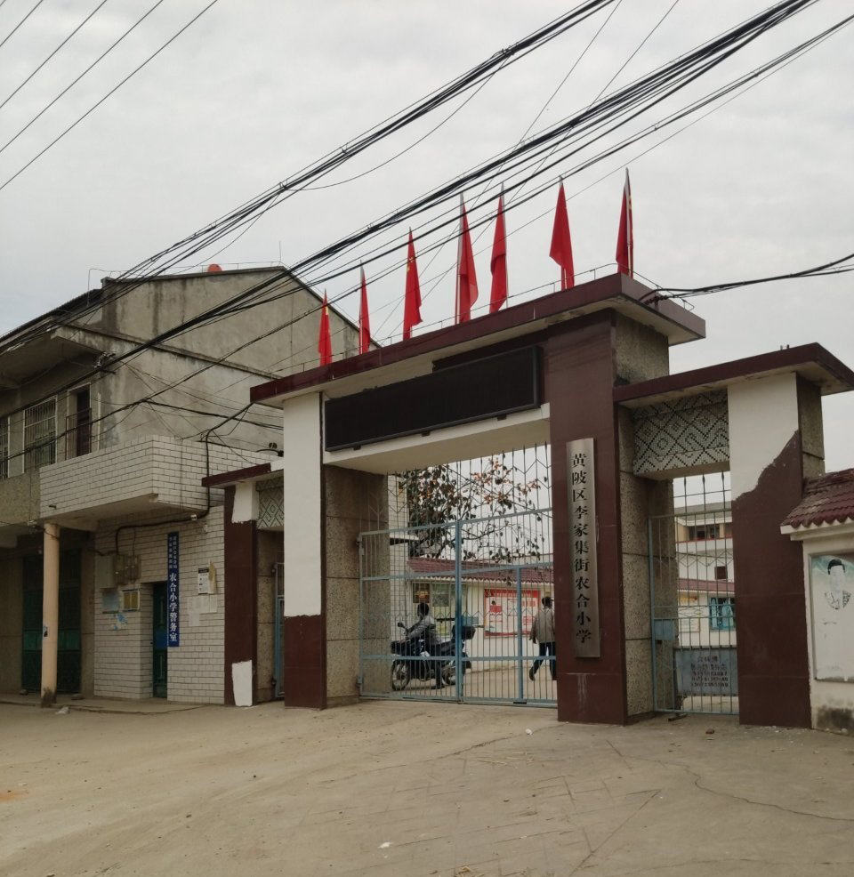 武汉市黄陂区李家集街农合小学