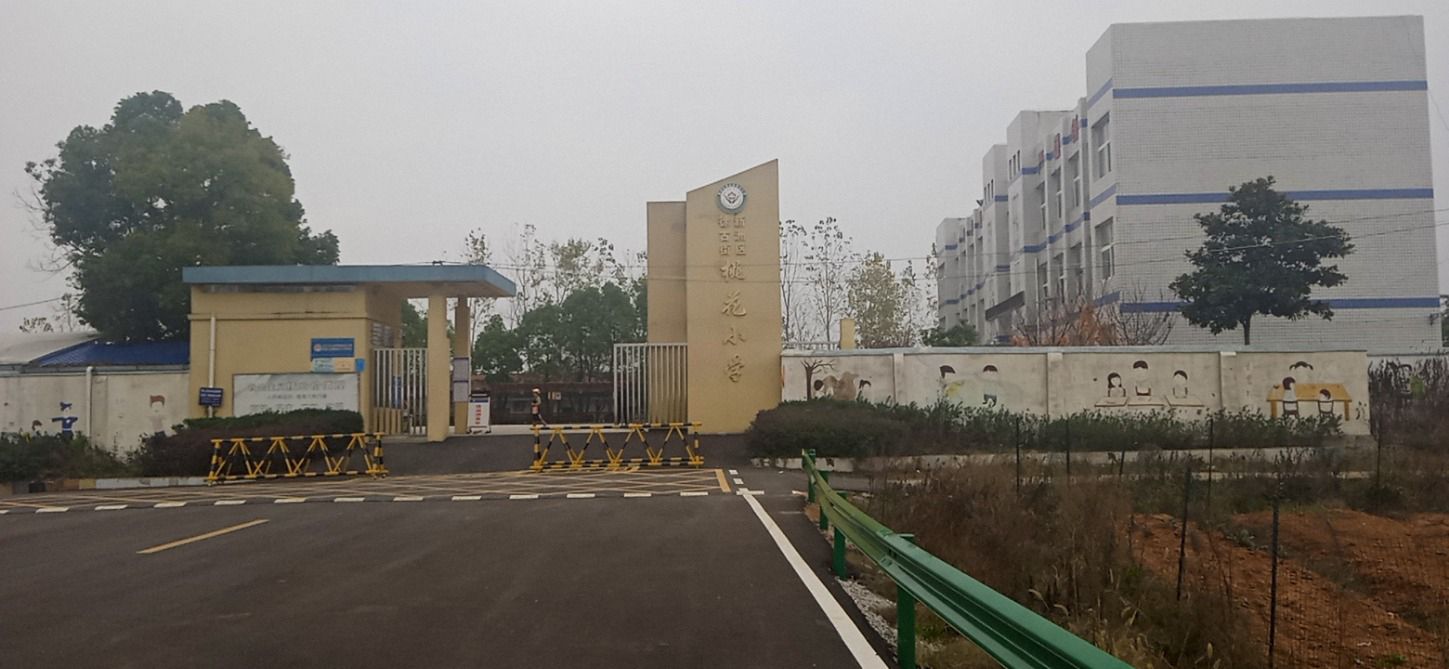 武汉市新洲区徐古街桃花小学