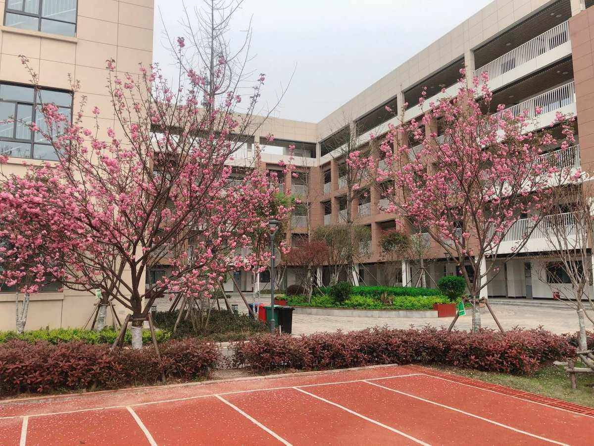 武汉市汉阳区晴川实验小学