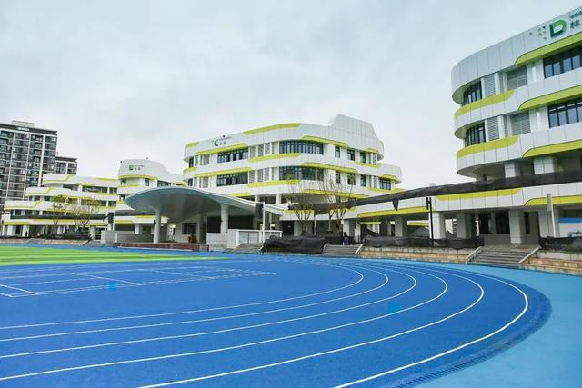 沙坪坝小学图新小学