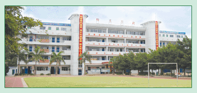 深圳市龙岗区坪地坪东学校