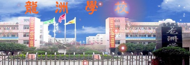 深圳市龙岗区龙洲学校