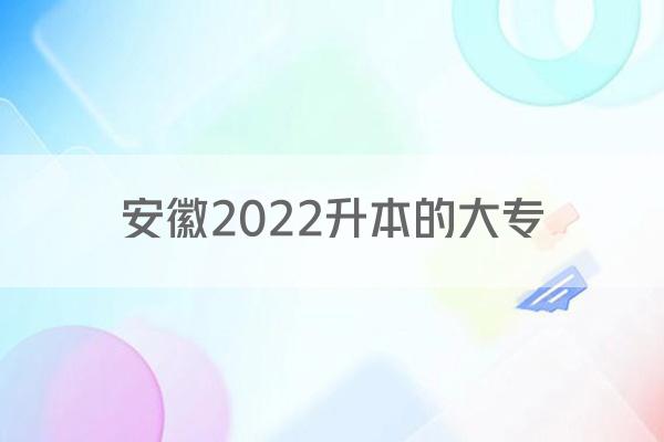 安徽2022升本的大专