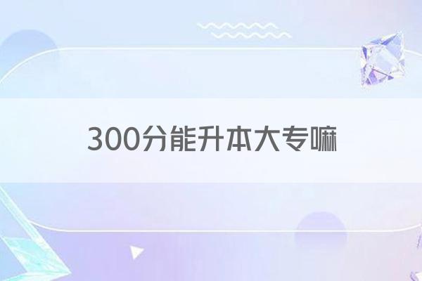 300分能升本大专嘛