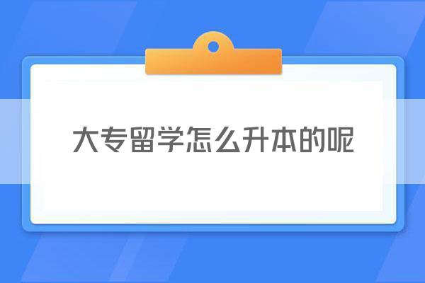 大专留学怎么升本的呢