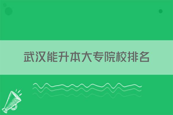 武汉能升本大专院校排名