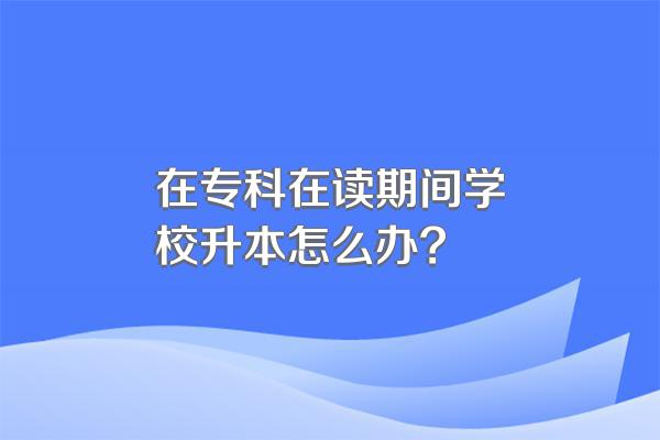 在专科在读期间学校升本怎么办?