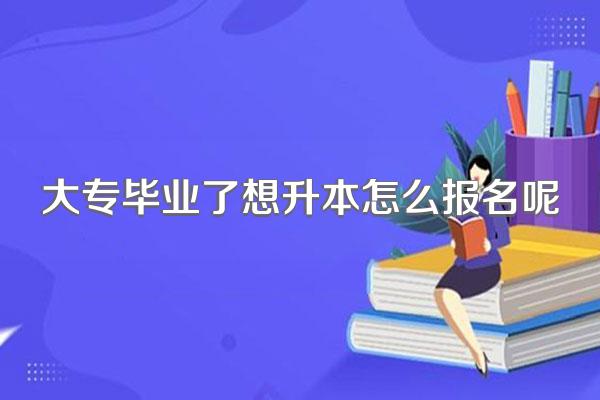 大专毕业了想升本怎么报名呢