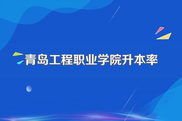 青岛工程职业学院升本率