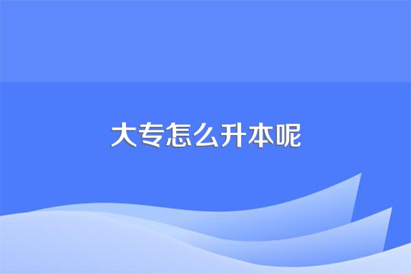 大专毕业了想升本怎么报名呢