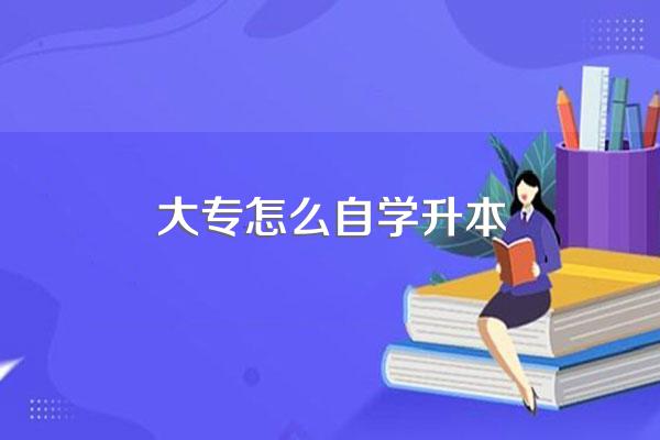 大专生升本自学需要准备什么资料