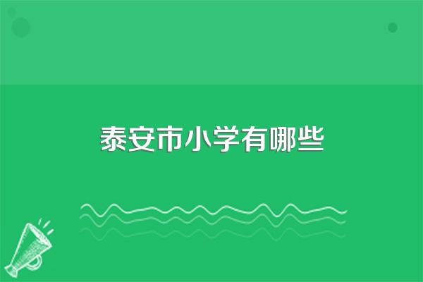 泰安市小学有哪些