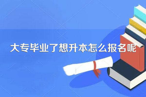 大专毕业了想升本怎么报名呢