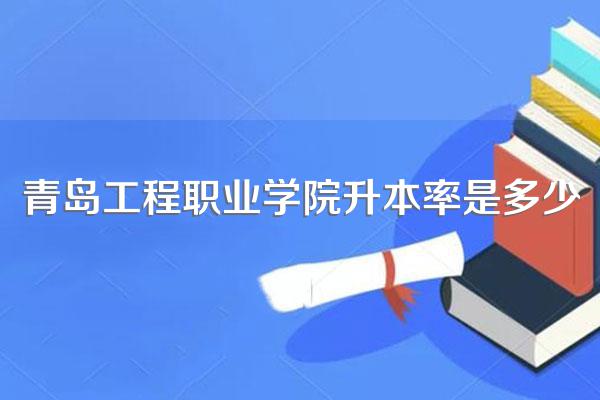 青岛工程职业学院升本率是多少