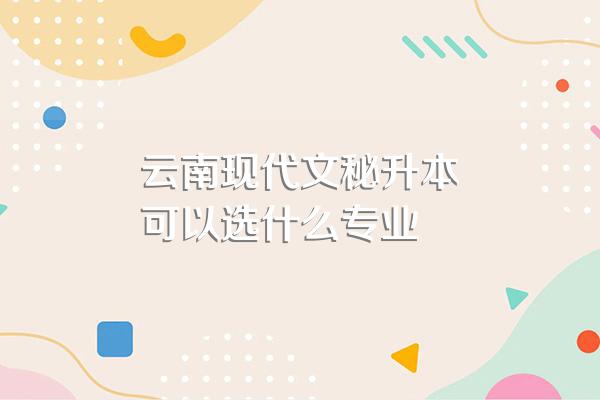 云南现代文秘升本可以选什么专业