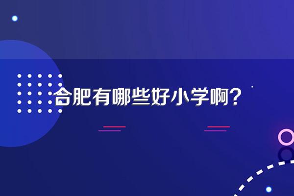 合肥有哪些好小学啊?