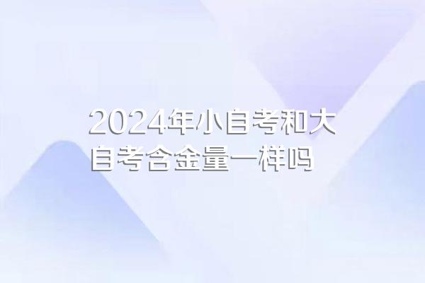 2024年小自考和大自考含金量一样吗