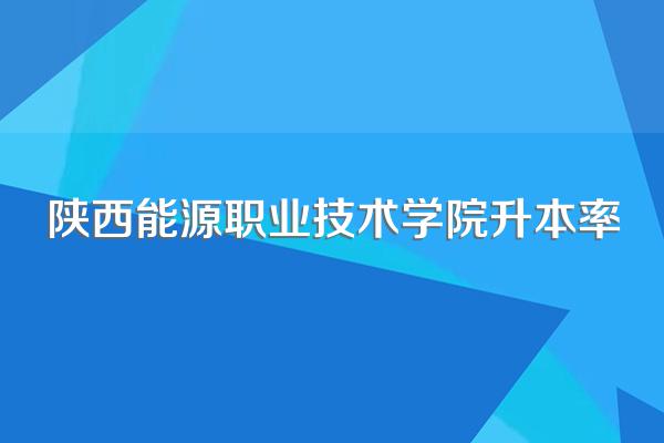 陕西能源职业技术学院升本率