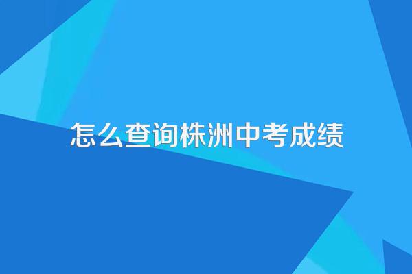 株洲市教育局中考成绩查询时间