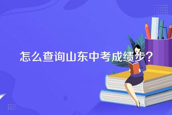 怎么查询山东中考成绩步?