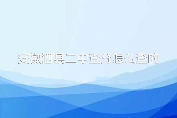 安徽泗县二中查分怎么查的