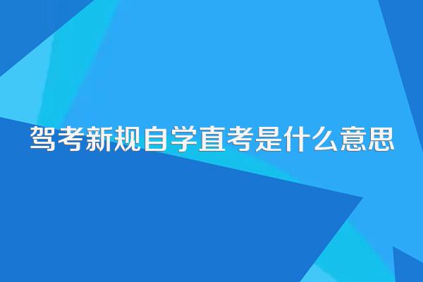 驾考新规自学直考是什么意思