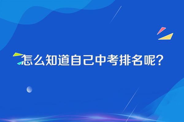 怎么知道自己中考排名呢?