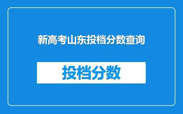 新高考山东投档分数查询