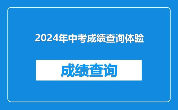 2024年中考成绩查询体验