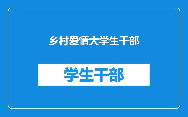 乡村爱情大学生干部