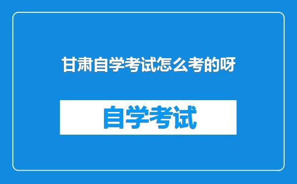 甘肃自学考试怎么考的呀