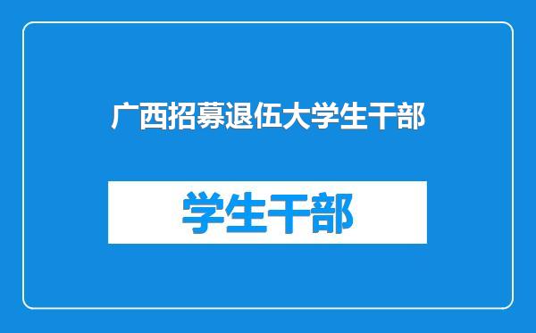 广西招募退伍大学生干部