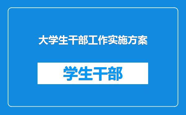 大学生干部工作实施方案