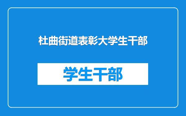 杜曲街道表彰大学生干部