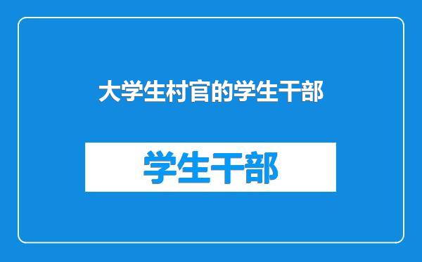 大学生村官的学生干部