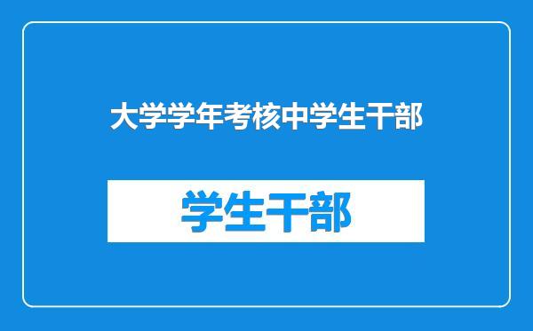 大学学年考核中学生干部