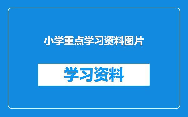 小学重点学习资料图片