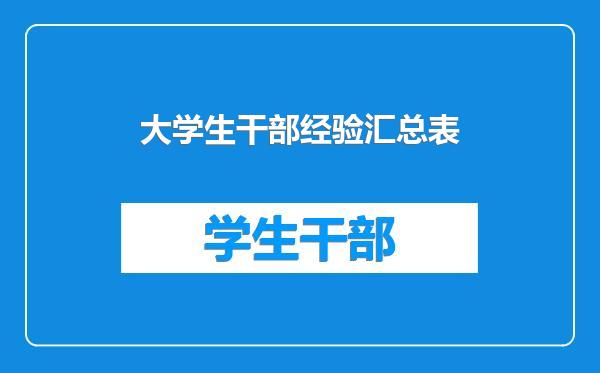 大学生干部经验汇总表