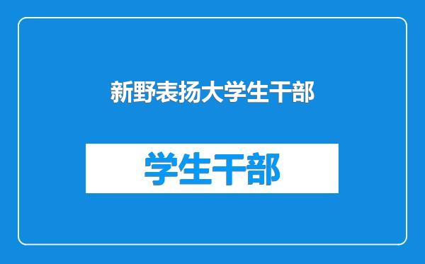 新野表扬大学生干部