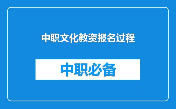 中职文化教资报名过程