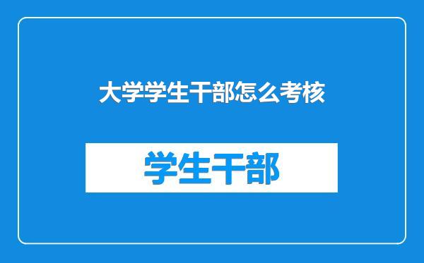 大学学生干部怎么考核