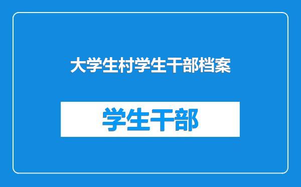 大学生村学生干部档案