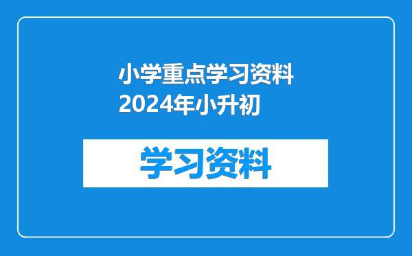 小学重点学习资料2024年小升初