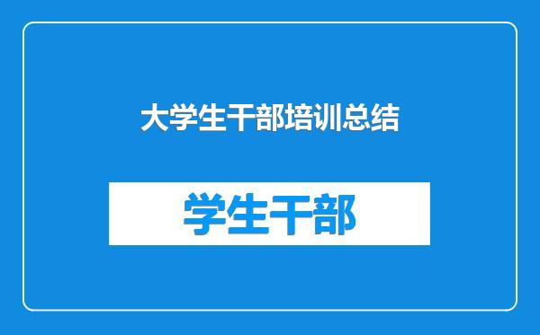 大学生干部培训总结