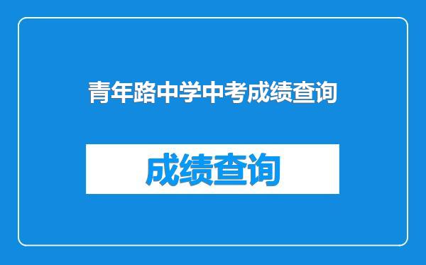 青年路中学中考成绩查询