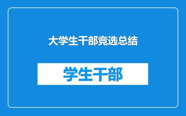 大学生干部竞选总结