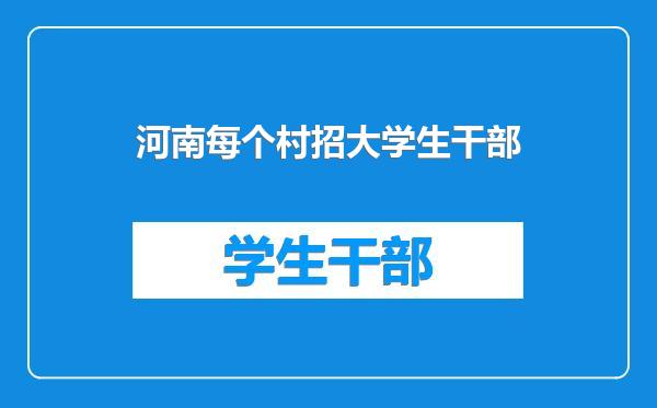 河南每个村招大学生干部