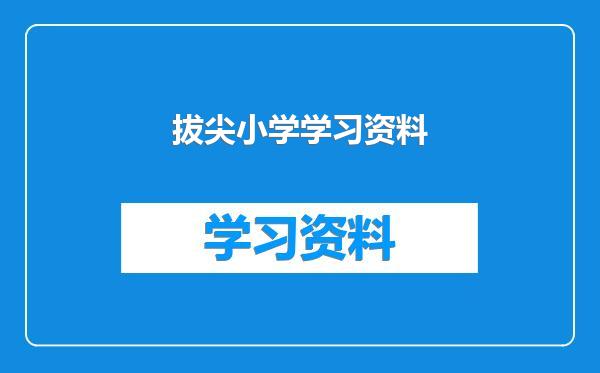 拔尖小学学习资料